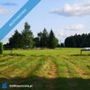Na Odludziu, wśród zieleni - Idealna pod dom jednorodzinny lub letni dom rekreacyjny - 5