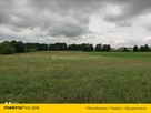 DUŻA DZIAŁKA W ZIELONEJ OKOLICY - 2