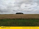 DUŻA DZIAŁKA W ZIELONEJ OKOLICY - 3