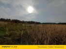 Duża działka blisko morza, w atrakcyjnej cenie - 2