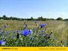 Działka z możliwością zabudowy mieszkalnej! - 6