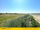 Działka rolna 6 km od morza! - 7