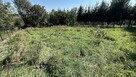 Działka budowlana 10,37 ar Marcinkowice gm. Chełmiec - 2