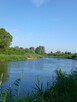 Fajne tereny na rower ,spacer, piknik ,pierwszy pocałunek :) - 9