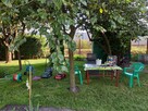 Sprzedam Działkę ROD Przytorze Zabierzów - 10