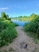 Fajne tereny na rower ,spacer, piknik ,pierwszy pocałunek :) - 11