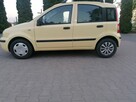sprzedam fiata pandę 2008 rok poj.silnika 1.2 benzyna - 3