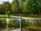 Działki przy lesie na Warmii, WZ, Lamkowo (bez pośredników) - 1