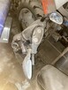 1/2 udziału motorower Benzhou YY50QT-10 2012 r. - 5