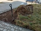 Wykonam różne prace ogrodniczą porządkowe - 8