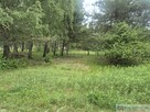 Działka 800m2 w Siennicy - 4