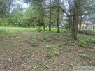 Działka 800m2 w Siennicy - 5