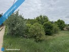 Działka na skraju Puszczy Kampinoskiej Nowe Grochale - 6