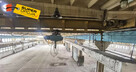 Lokal użytkowy Olkusz, - 2