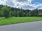 Targoszów | działka 2350 m2 | spokój | las | góry - 2