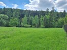 Targoszów | działka 2350 m2 | spokój | las | góry - 4