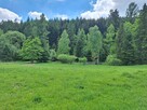 Targoszów | działka 2350 m2 | spokój | las | góry - 5