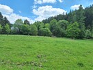 Targoszów | działka 2350 m2 | spokój | las | góry - 6