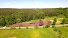 Działka budowlana przy lesie Warmia Mazury - 3