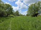 Działka rolna Lubaszowa gm. Tuchów - 2