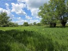 Działka rolna Lubaszowa gm. Tuchów - 8