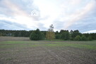 DZIAŁKA ZE STAWEM–OAZA CISZY I NATURY-ŻUŁAWKA - 4