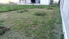 Wykonam różne prace ogrodniczą porządkowe - 3