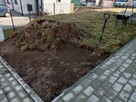 Wykonam różne prace ogrodniczą porządkowe - 7