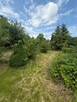 Działka rekreacyjna 400 m² z domkiem – ROD, Kalisz - 7