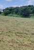 Mulczowanie trawy nieużytków Ryki Dęblin - 3