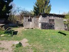 Pokój do wynajęcia - 8