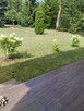 Sprzedam Działkę z Domem - 1