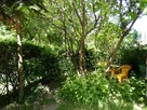 2 pokoje, 52 m2, ogródek, Os. Dywizjonu 303 - 9