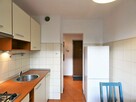 3 pokoje z balkonem, pet friendly, Lelewela 17 - 6