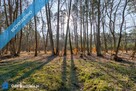 Działka przy lesie, nad Zalewem Szczecińskim z warunkami. - 6