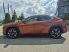 Lexus UX - 9