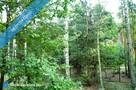 7810m2/działka bud. 4965m2/2845m2LAS - 6