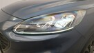 Ford Kuga 2.5 FHEV FWD ST-Line X! Z polsiego salonu! FV 23% - 10