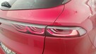 Alfa Romeo Tonale 1.5 T4 GSE mHEV Tributo Italiano! Salon polski! FV VAT! - 13