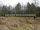 Dom Skierniewice - 15