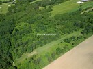 Działka rolna Bodzanów gm. Biskupice - 5