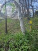 Działka budowlana Nowy Sącz os. Dąbrówka - 6