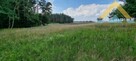 Działka rekreacyjna i siedliskowa w Chłopowie - 5