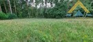 Działka rekreacyjna i siedliskowa w Chłopowie - 6