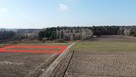 Żminne!!! Atrakcyjna działka w pięknym otoczeniu. - 1