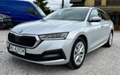 Škoda Octavia Salon PL,LED,Navi,PDC,Serwis,Gwarancja - 1