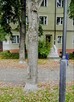 Gliwice, ul.A.Mickiewicza mieszkanie do wynajęcia 63 m, 1p