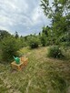 Działka rekreacyjna 400 m² z domkiem – ROD, Kalisz - 4