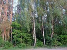 LEŚNICZÓWKA DWA DOMY CAŁOROCZNE DWIE DZIAŁKI OKAZJA - 9