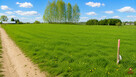 Działka budowlana Tołcze gm. Kuźnica, - 3